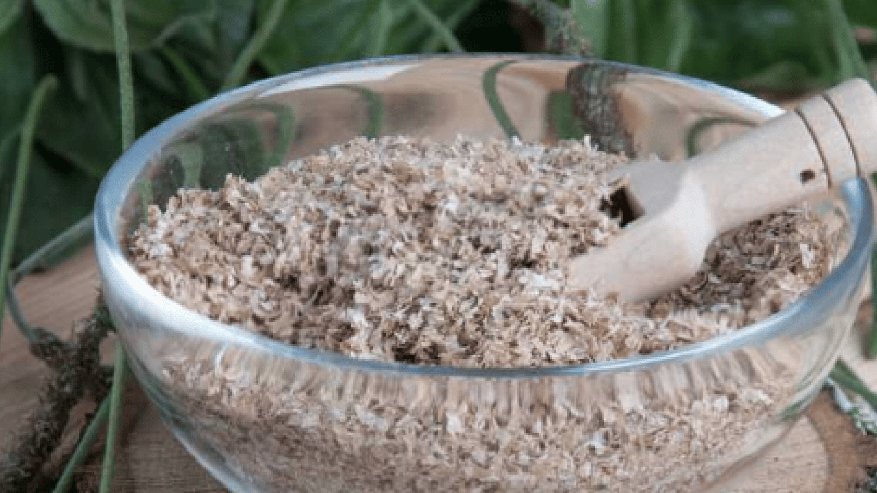 Bilimsel adı ile 'psyllium husk' Chia tohumuna rakip doğuyor: Yaz gelmeden yağları eritiyor