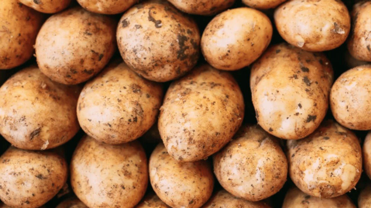 Foto - Bilimsel araştırmalar ortaya çıkardı! Aman diyelim... Şeker hastaları patates tüketmeli mi?