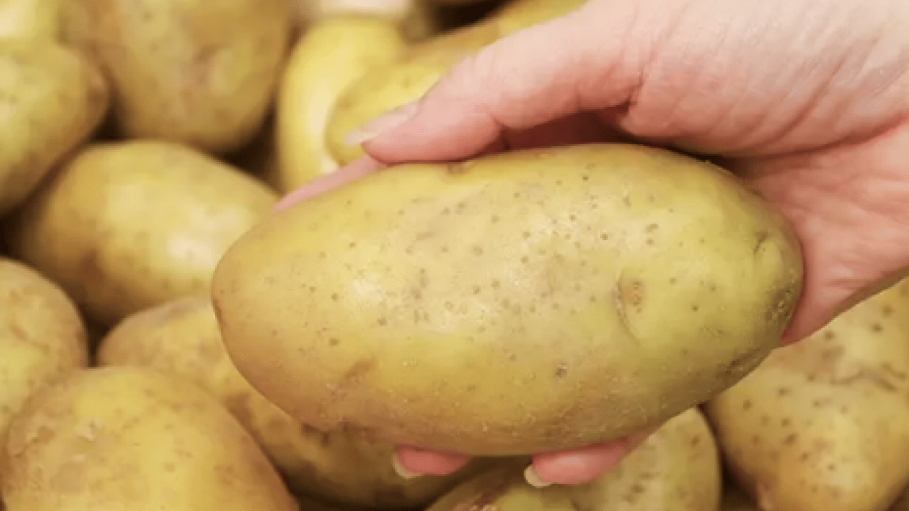 Bilimsel araştırmalar ortaya çıkardı! Aman diyelim... Şeker hastaları patates tüketmeli mi?