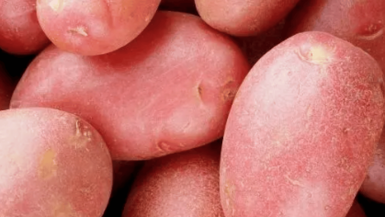 Foto - Bilimsel araştırmalar ortaya çıkardı! Aman diyelim... Şeker hastaları patates tüketmeli mi?