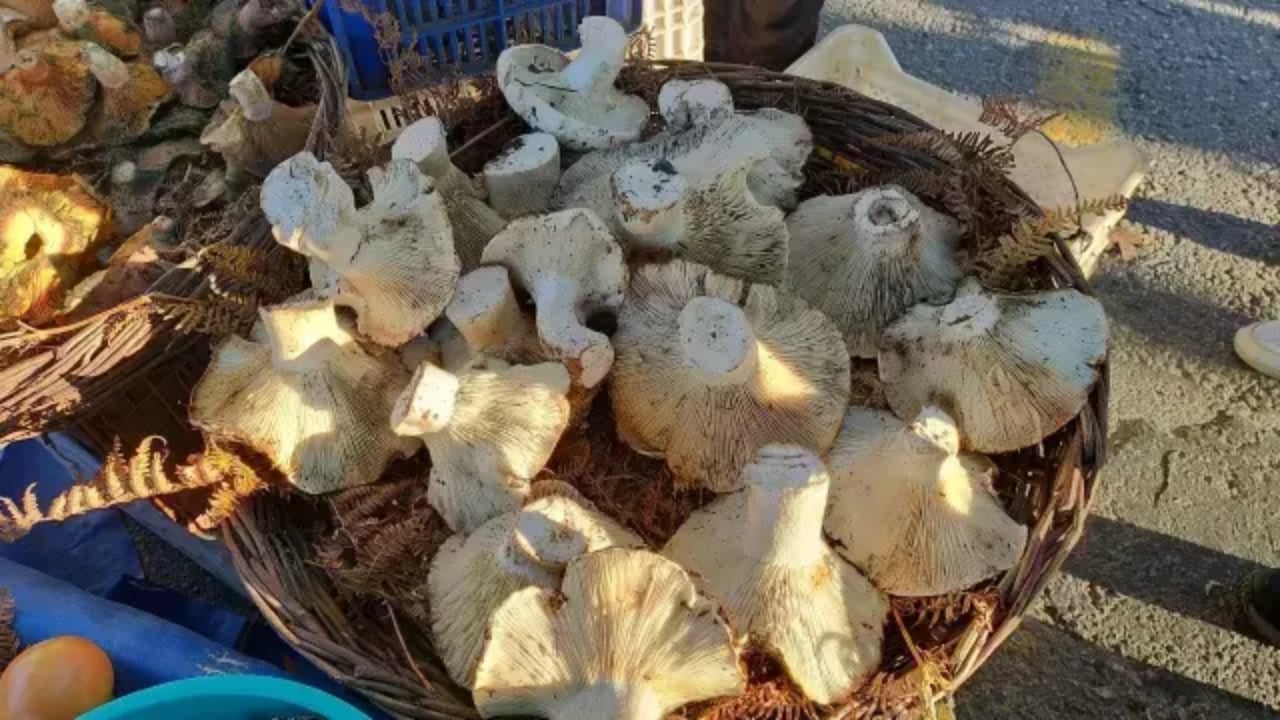 Foto - Bin 800 metreden toplayıp getiriyor, millet tezgahında kuyruk oluyor