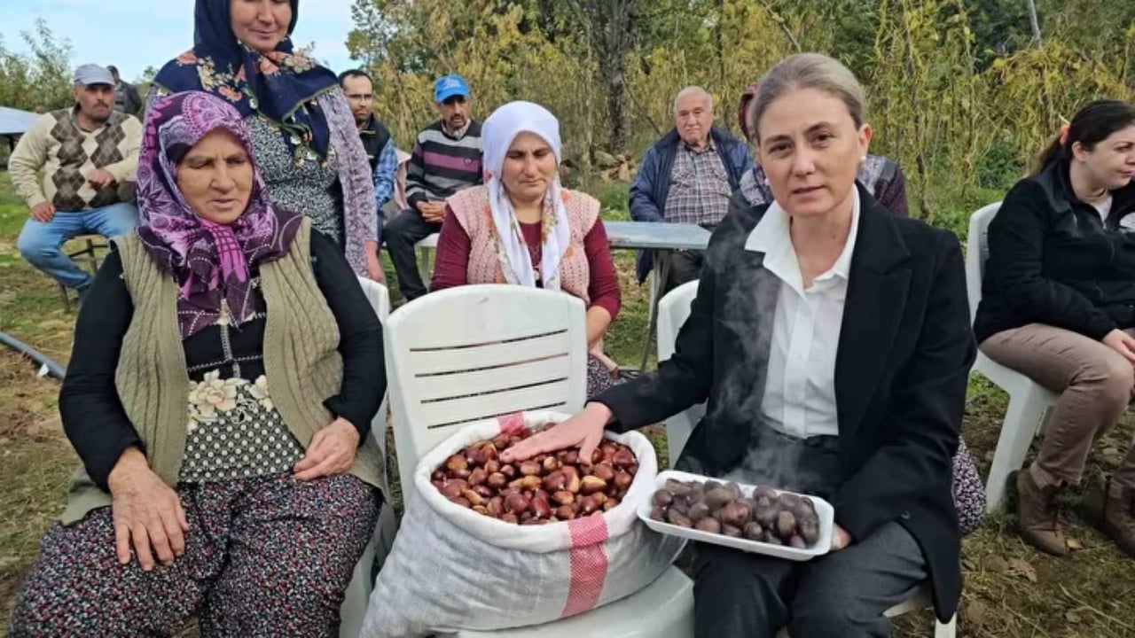 Foto - Bin yıllık ağaçlarda yetişiyor! Kadınlar topluyor, özel kuyularda 15 gün bekletiliyor