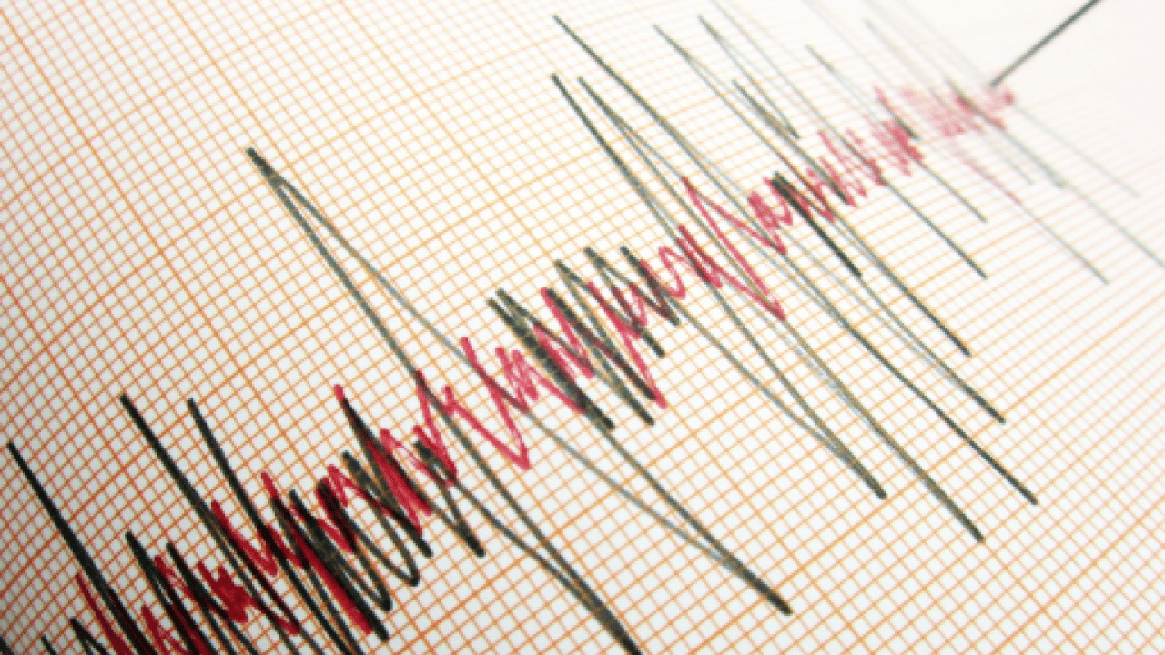 Foto - Bingöl 4,4 ile sallandı, Prof Dr. Görür uyardı! ‘Büyük bir depremi tetikleyebilir'