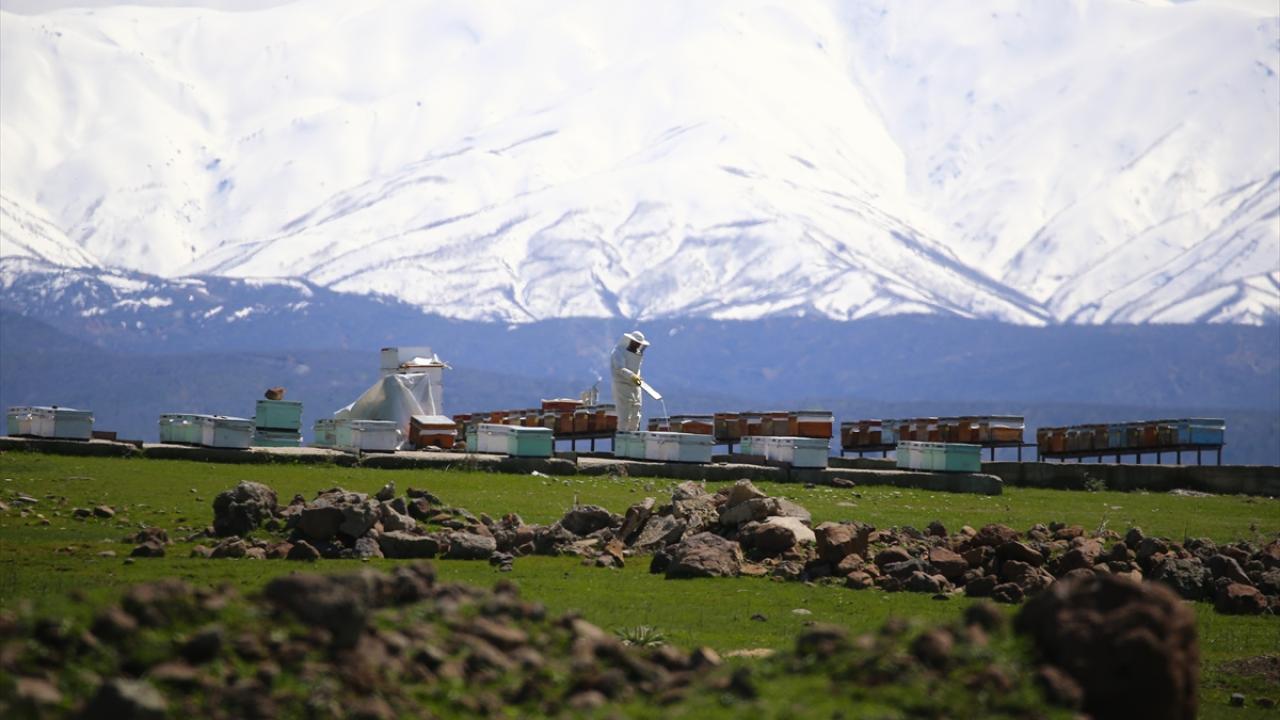Foto - Bingöl aynı anda iki mevsimi yaşıyor! Kuzeyinde kış, güneyinde bahar