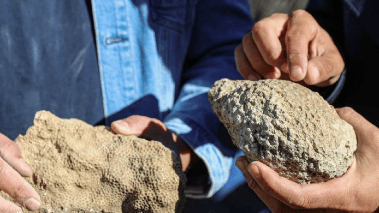 Foto - Bingöl’de şaşırtan keşif! 50 milyon yıllık iz dağlık alanda ortaya çıktı