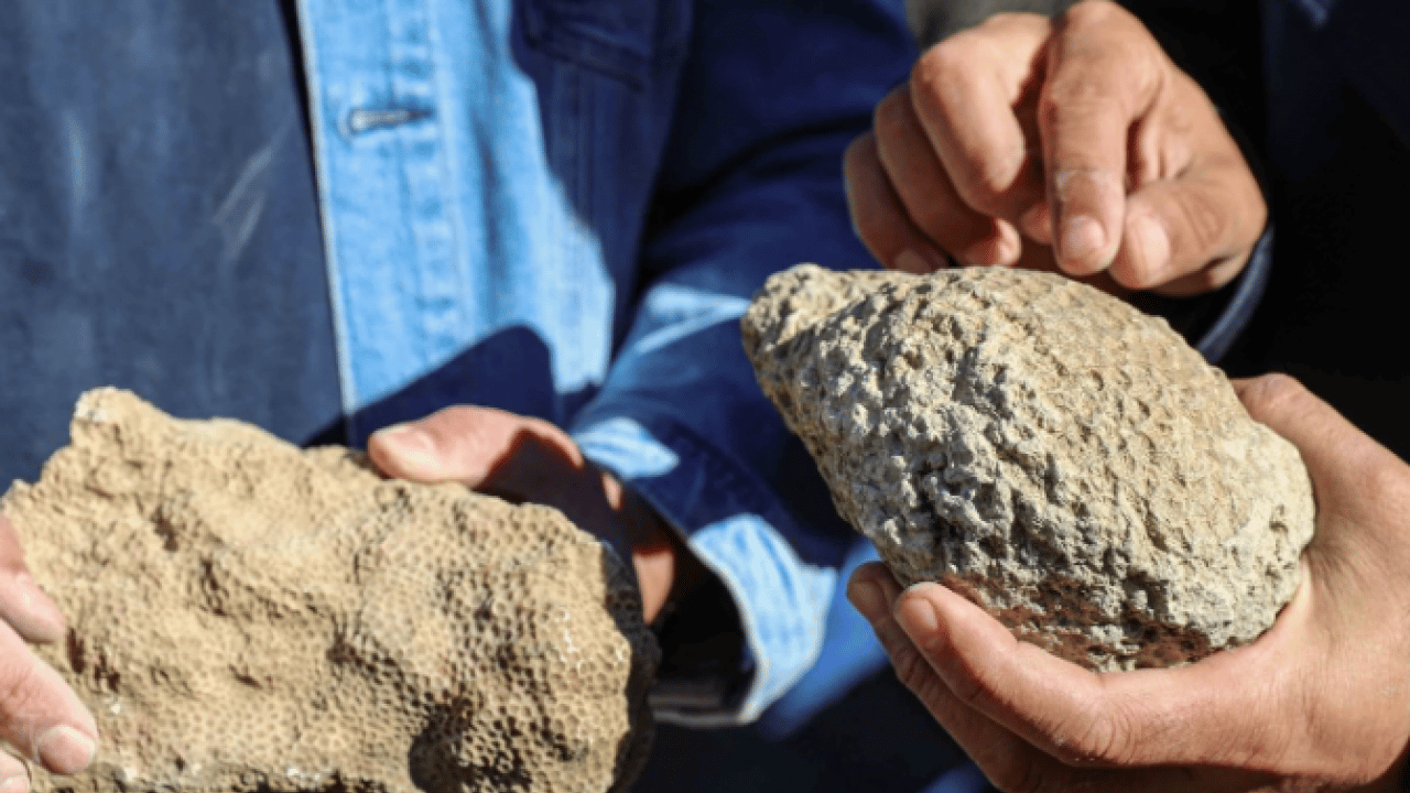 Foto - Bingöl’de şaşırtan keşif! 50 milyon yıllık iz dağlık alanda ortaya çıktı