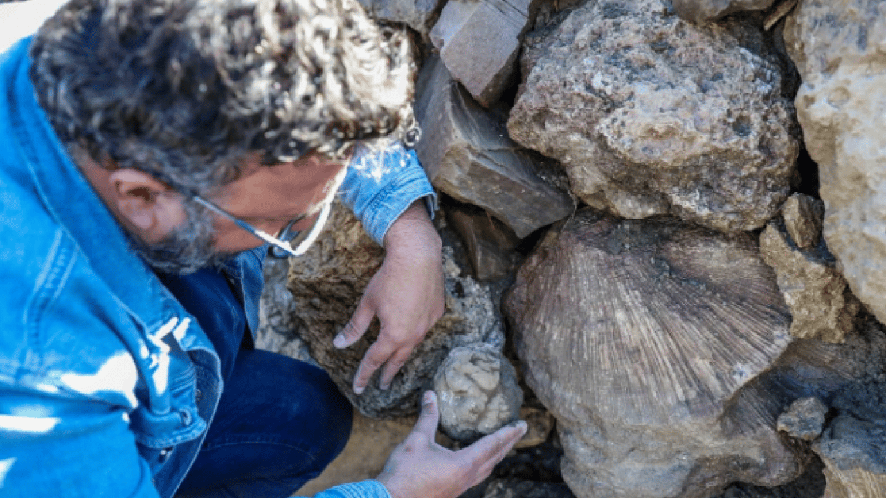 Foto - Bingöl’de şaşırtan keşif! 50 milyon yıllık iz dağlık alanda ortaya çıktı