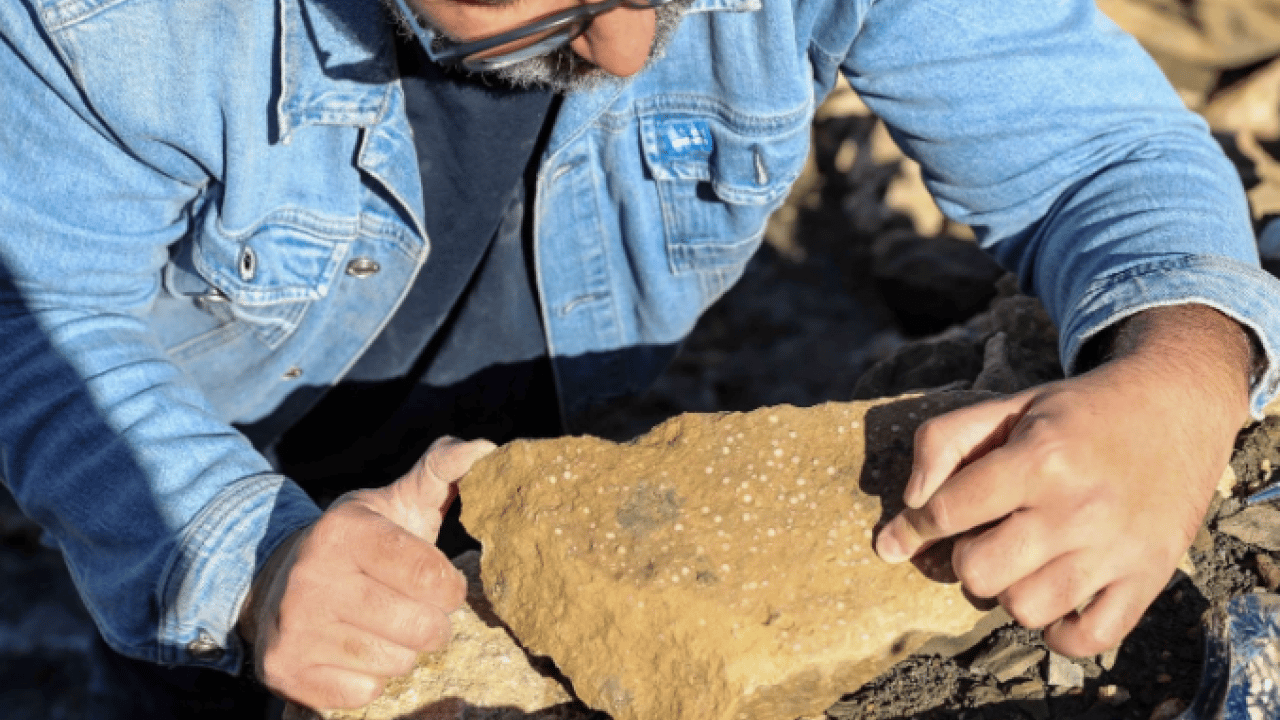 Foto - Bingöl’de şaşırtan keşif! 50 milyon yıllık iz dağlık alanda ortaya çıktı