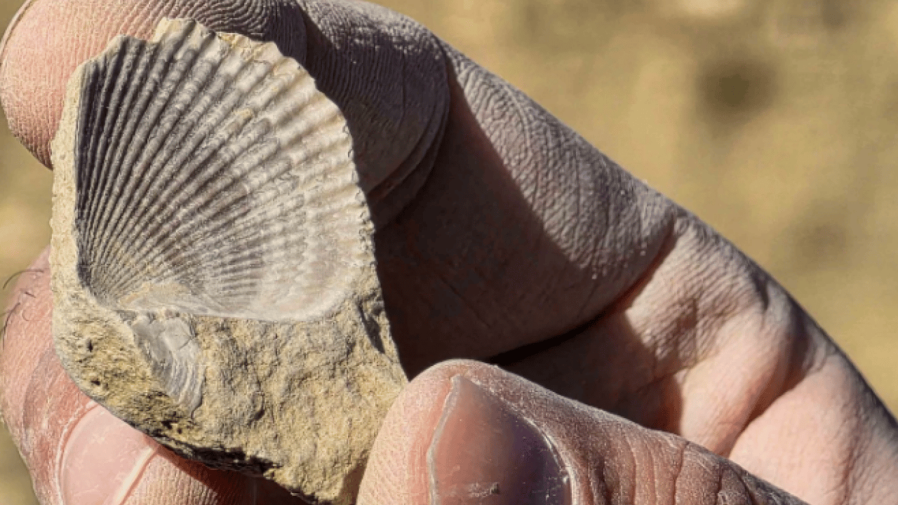Foto - Bingöl’de şaşırtan keşif! 50 milyon yıllık iz dağlık alanda ortaya çıktı