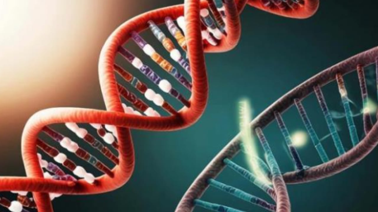 Foto - Binlerce geni etkiliyor! İşte portakal suyunun bilinmeyen etkileri