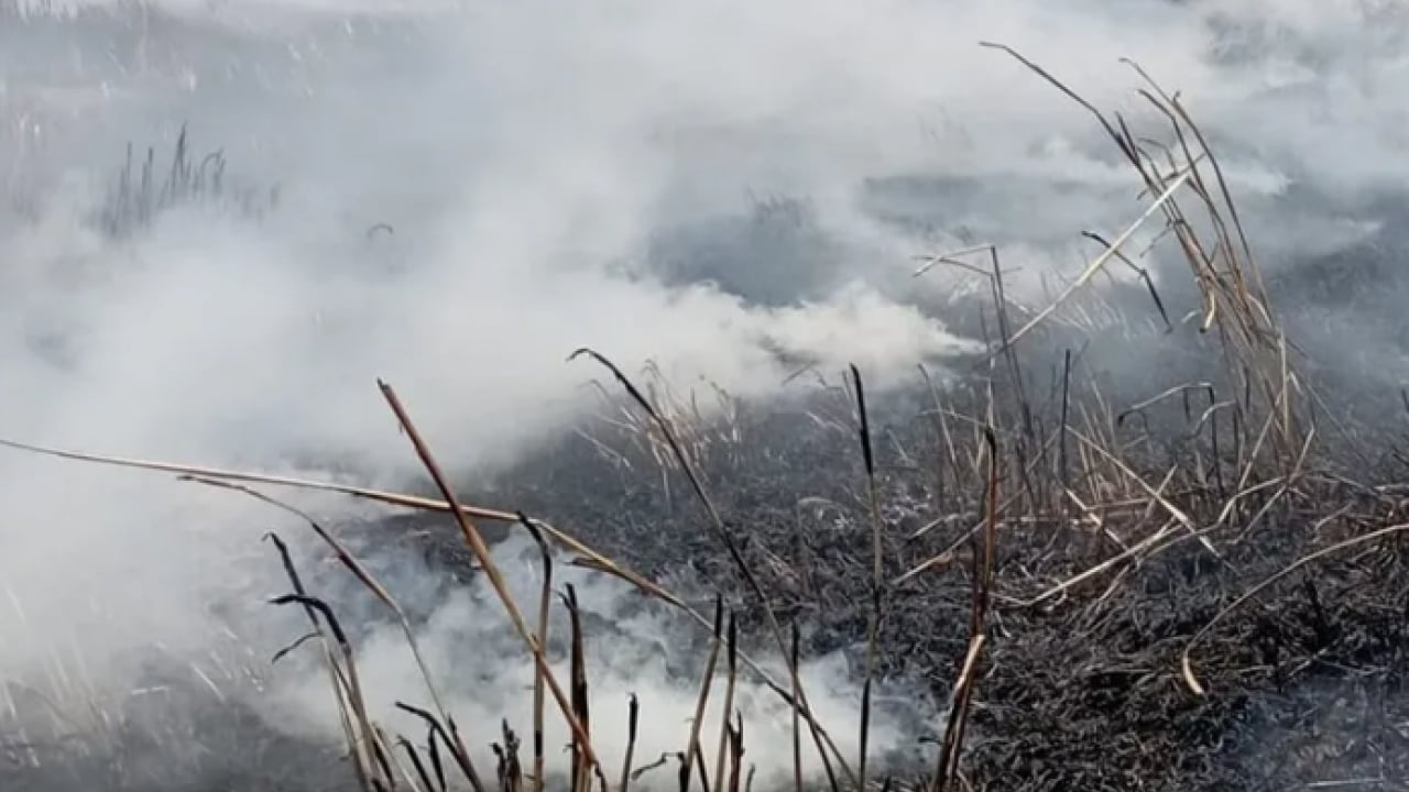 Foto - Evimiz bir anda cehenneme döndü