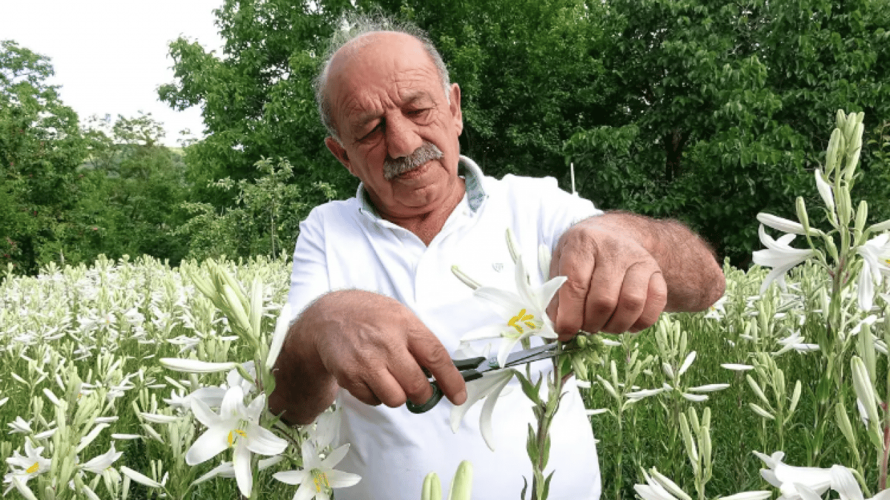 Foto - Bir anda gözde oldu: Litresi 270 bin TL'den satılıyor