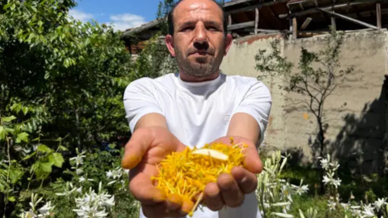 Bir anda gözde oldu: Litresi 270 bin TL'den satılıyor