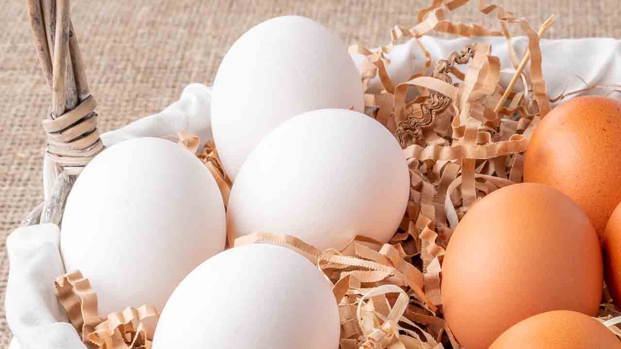 Foto - Bir ayda tam 720 yumurta tüketti bilim dünyasının tüm teorilerini altüst etti