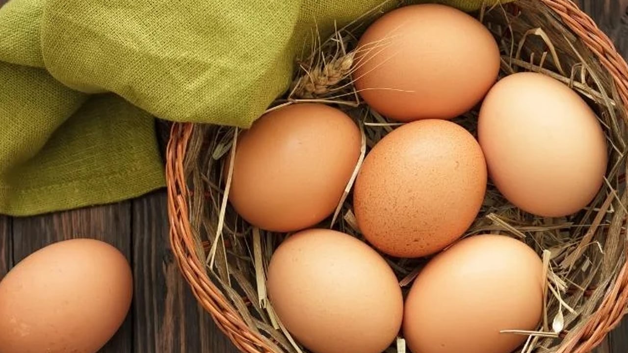 Foto - Bir ayda tam 720 yumurta tüketti bilim dünyasının tüm teorilerini altüst etti