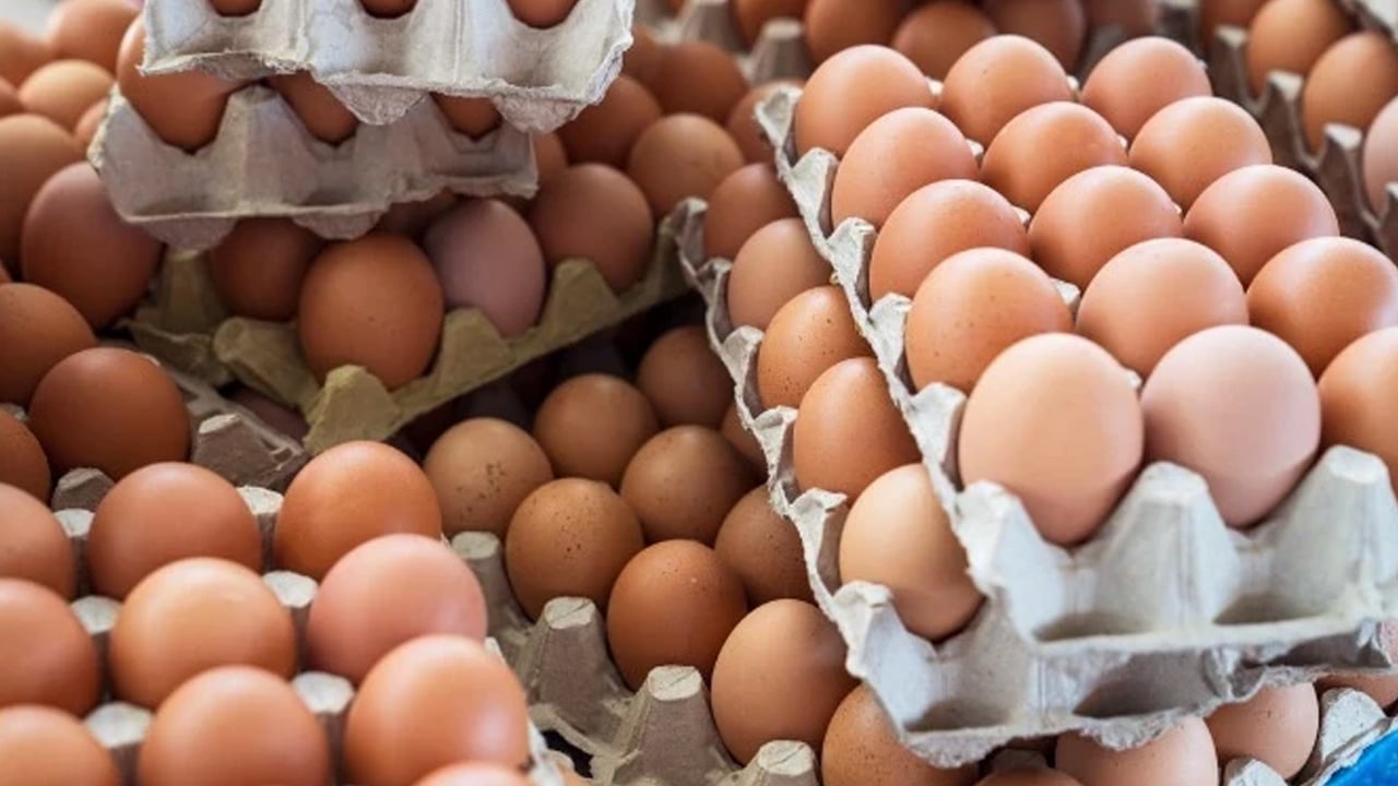 Bir ayda tam 720 yumurta tüketti bilim dünyasının tüm teorilerini altüst etti