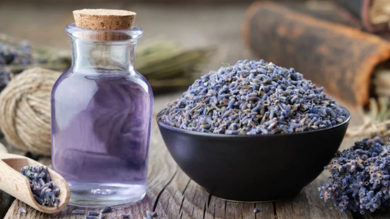 Foto - Bir bardak içmeniz yetecek! Geceleri rahatça uykuya dalmanın kolay yolu