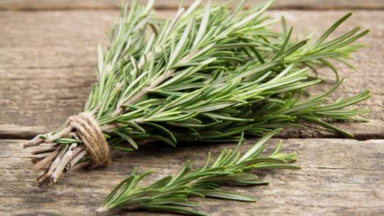 Foto - Bir daha asla unutmayacaksınız: İşte hafızayı kuvvetlendiren 3 bitki!