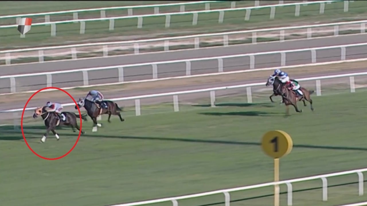 Foto - Bir darbe de bakanlıktan yedi! CHP’li belediyenin etini kavurma yapıp dağıttığı yarış atının sahibine büyük şok