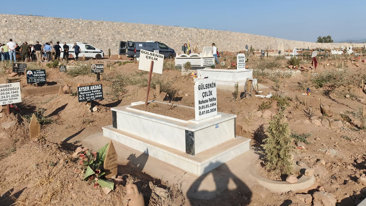 Foto - Bir de nankör derler! Aydın'da bir kedi aylardır ölen sahibinin mezarından ayrılmıyor