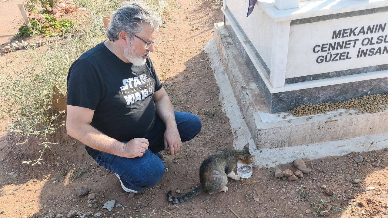 Foto - Bir de nankör derler! Aydın'da bir kedi aylardır ölen sahibinin mezarından ayrılmıyor