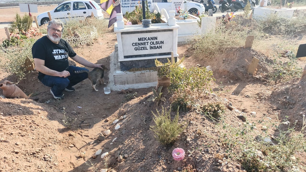 Foto - Bir de nankör derler! Aydın'da bir kedi aylardır ölen sahibinin mezarından ayrılmıyor