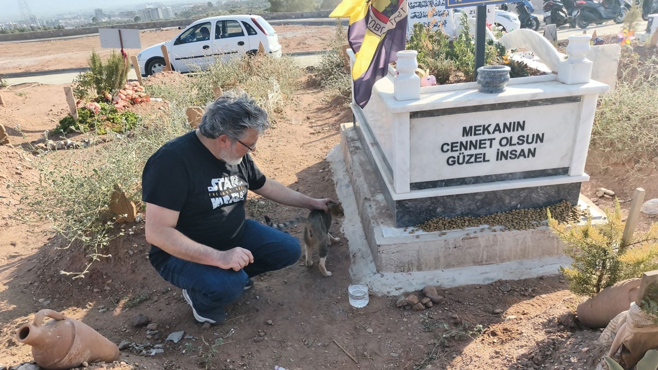 Foto - Bir de nankör derler! Aydın'da bir kedi aylardır ölen sahibinin mezarından ayrılmıyor