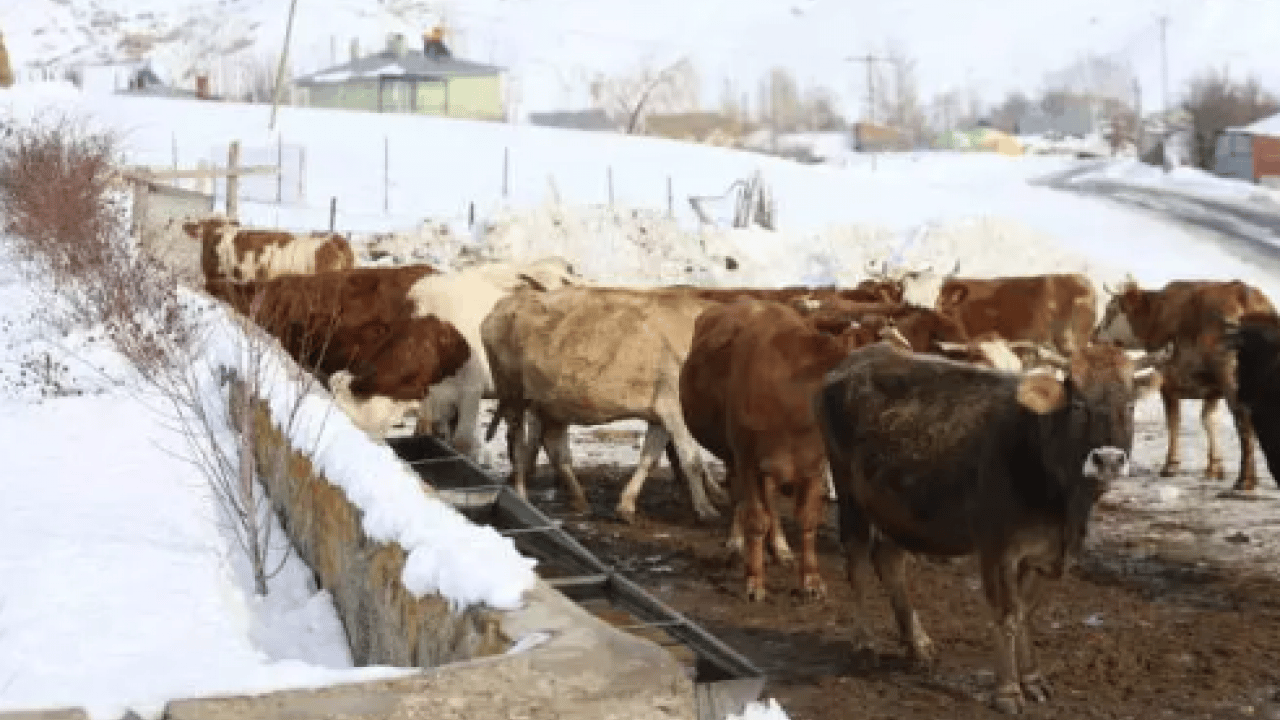 Foto - Bazıları burun kıvırıyor ama o servet yapıyor: 'Yılda 8 milyon lira kazanıyoruz'