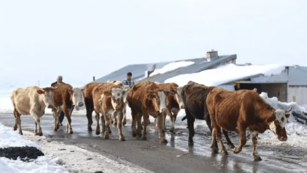 Foto - Bazıları burun kıvırıyor ama o servet yapıyor: 'Yılda 8 milyon lira kazanıyoruz'