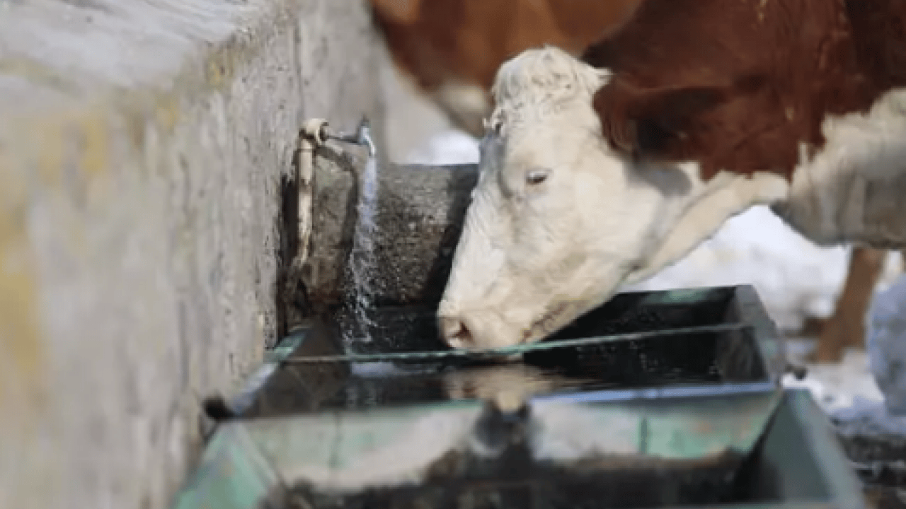 Foto - Bazıları burun kıvırıyor ama o servet yapıyor: 'Yılda 8 milyon lira kazanıyoruz'