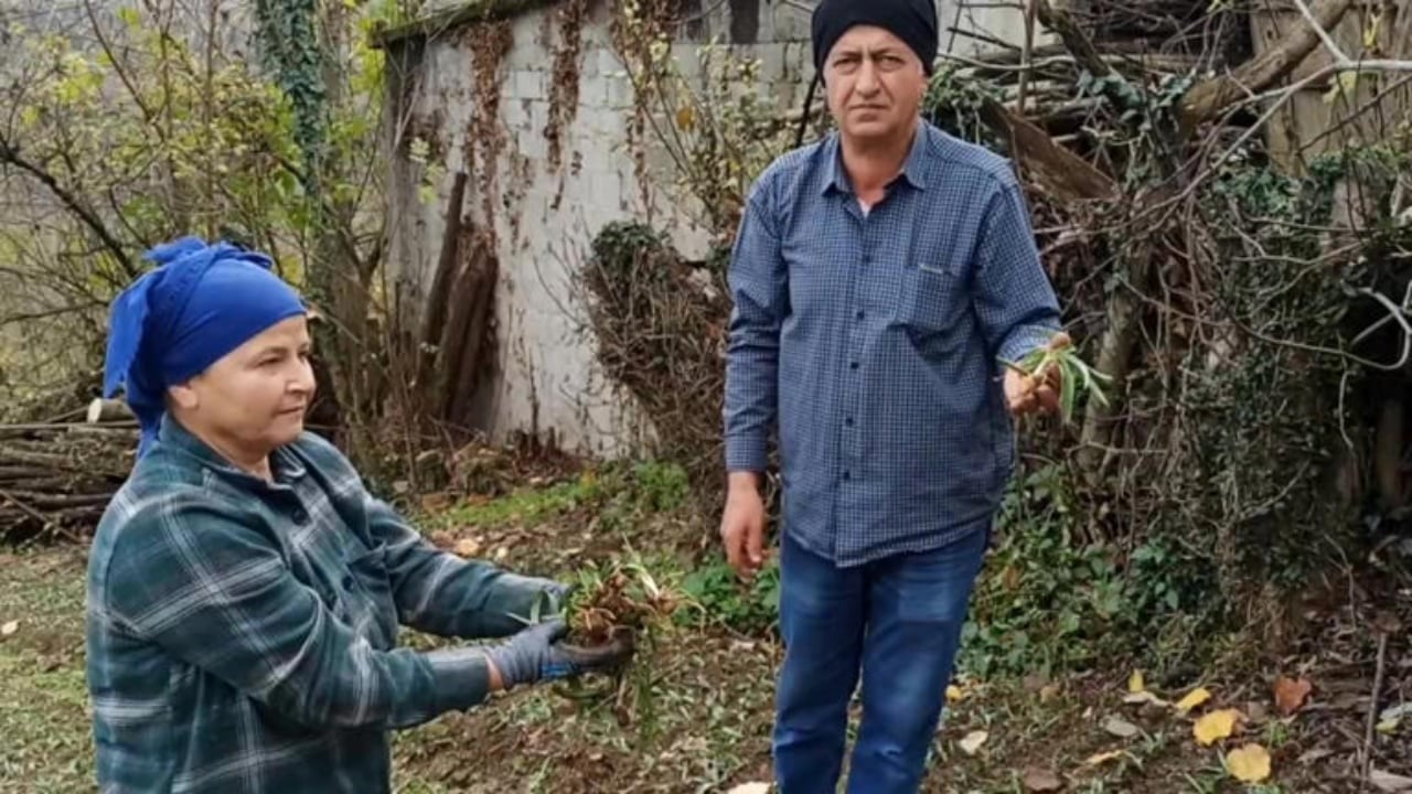 Foto - Bir dikiyor, üç alıyorlar! Daha tarladayken kapış kapış gidiyor