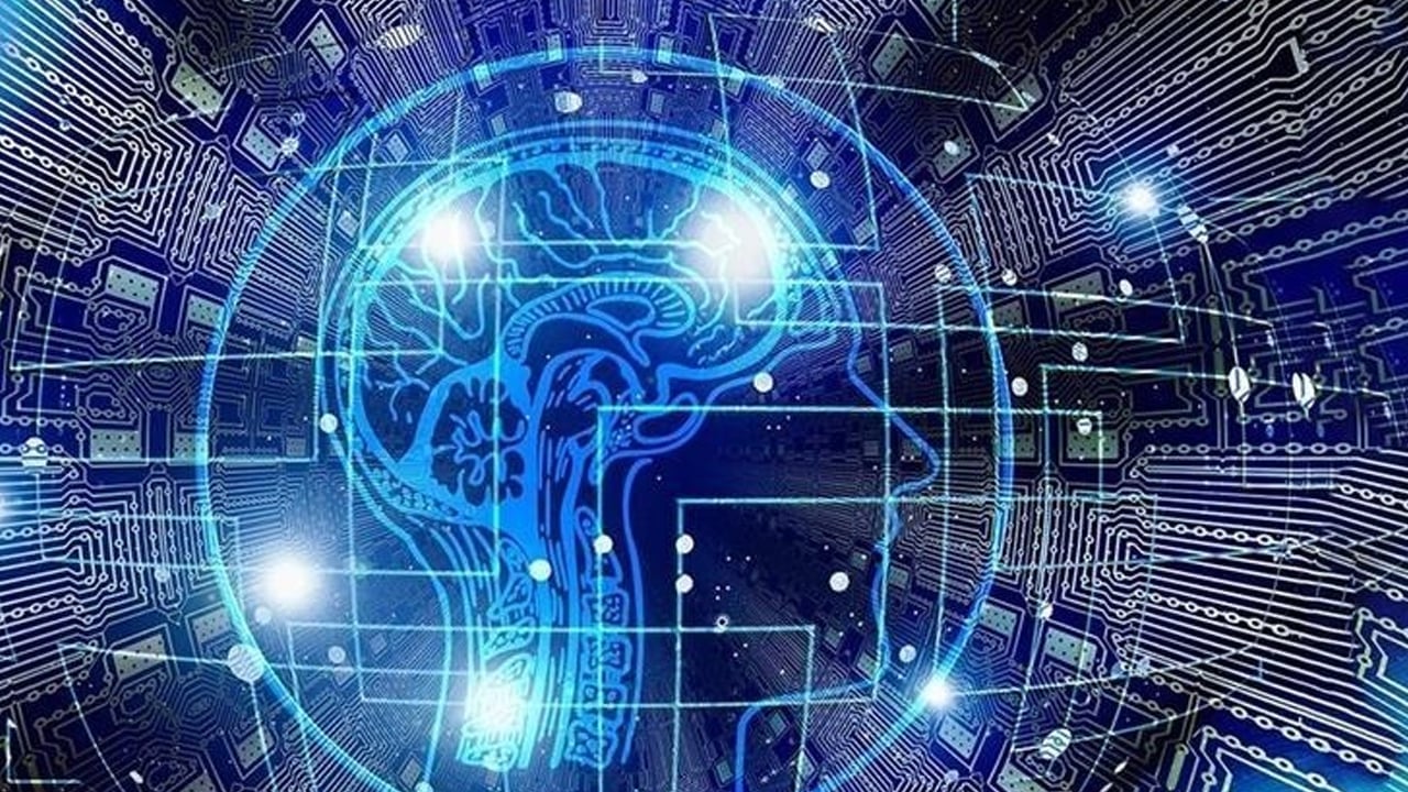 Foto - Bir dilim bile yetiyor: Zihni genç tutmanın sırrı ondaymış