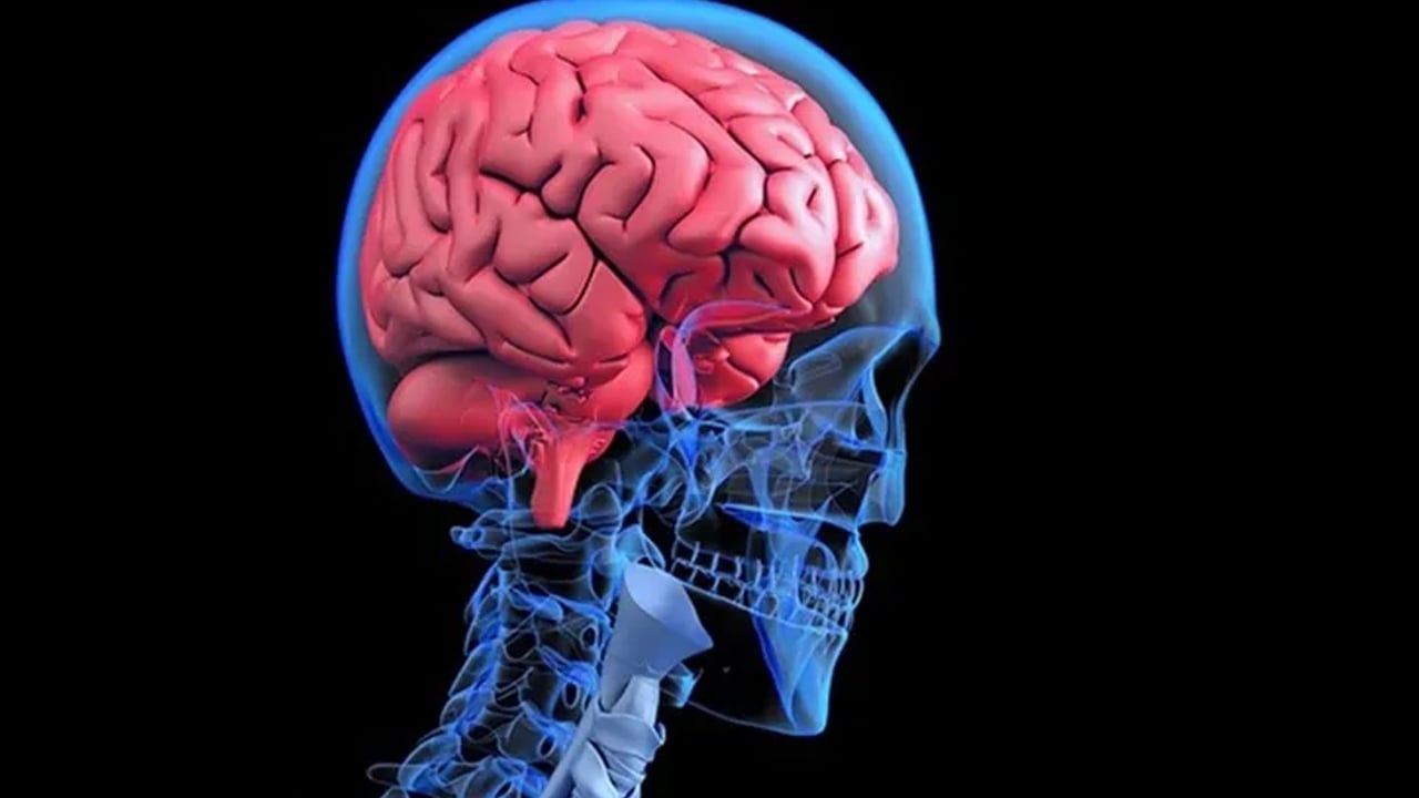 Bir dilim bile yetiyor: Zihni genç tutmanın sırrı ondaymış