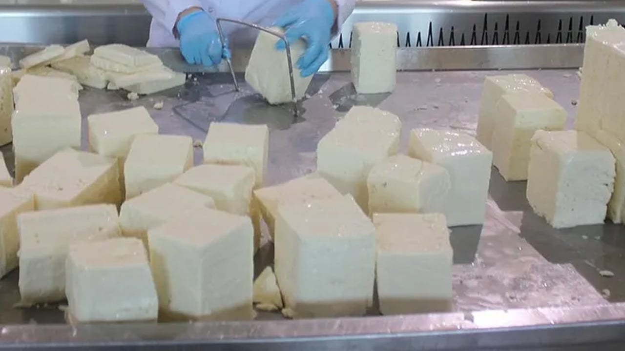 Foto - Bir dilim bile yetiyor: Zihni genç tutmanın sırrı ondaymış