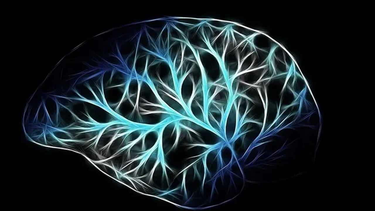 Foto - Bir dilim bile yetiyor: Zihni genç tutmanın sırrı ondaymış