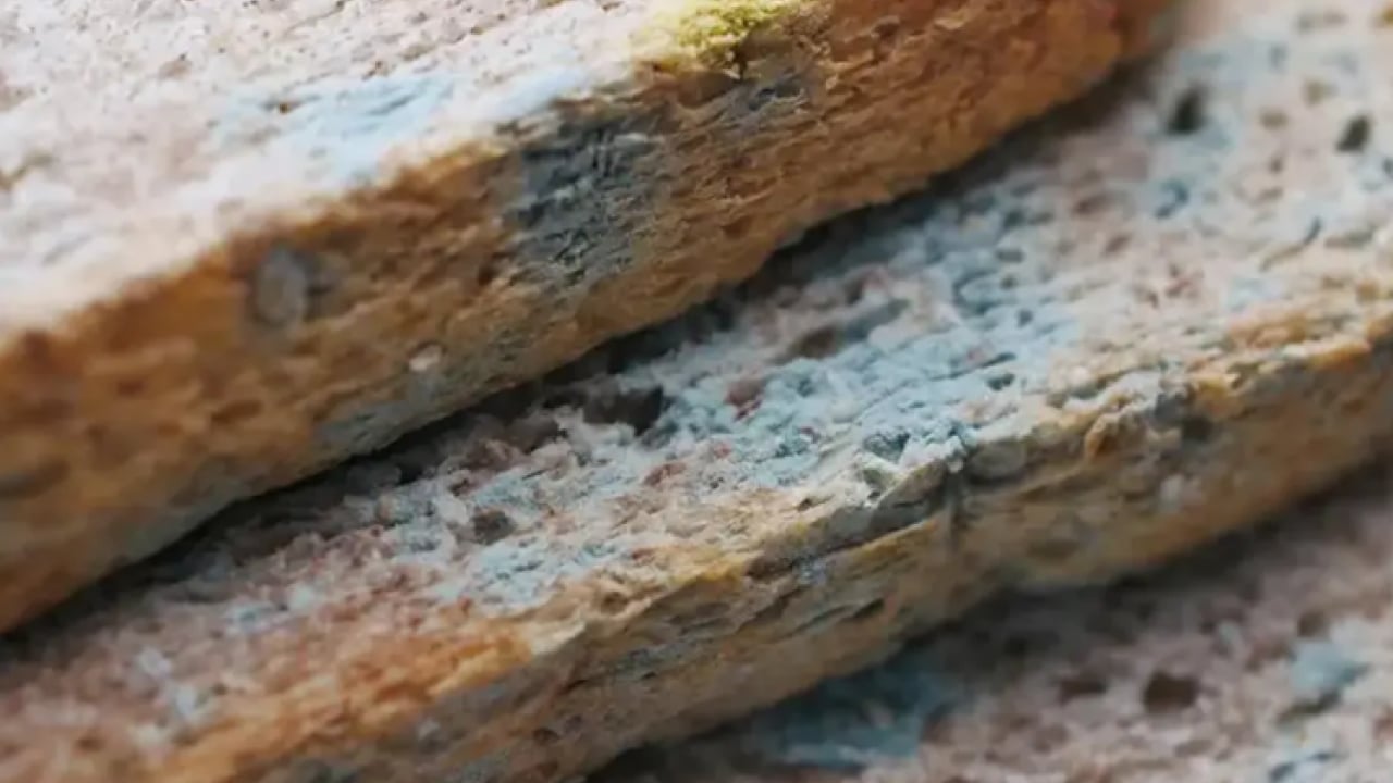 Foto - Bir diş ekleyin yeter! Ekmek daha geç küfleniyor!