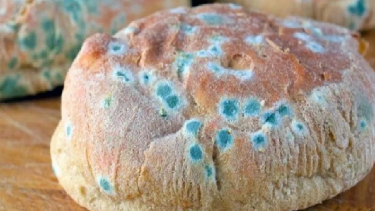 Foto - Bir diş ekleyin yeter! Ekmek daha geç küfleniyor!