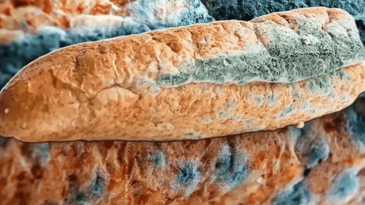 Bir diş ekleyin yeter! Ekmek daha geç küfleniyor!