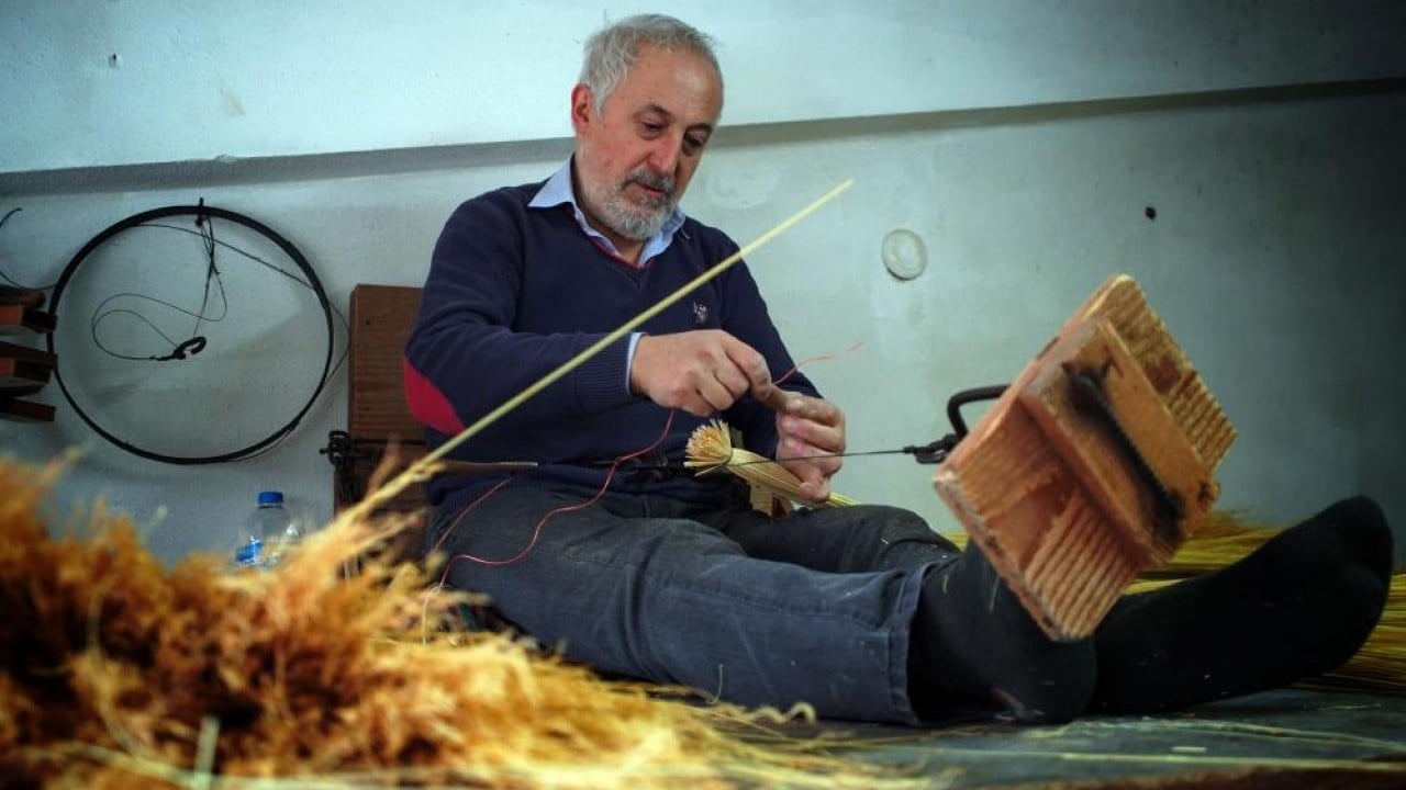 Foto - Bir dönemin gözdesi çalı süpürgesi yok olma yolunda