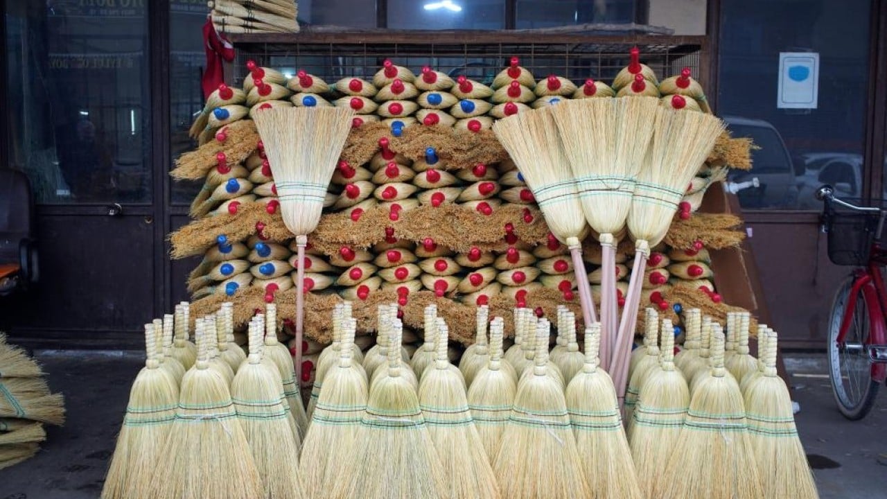 Foto - Bir dönemin gözdesi çalı süpürgesi yok olma yolunda