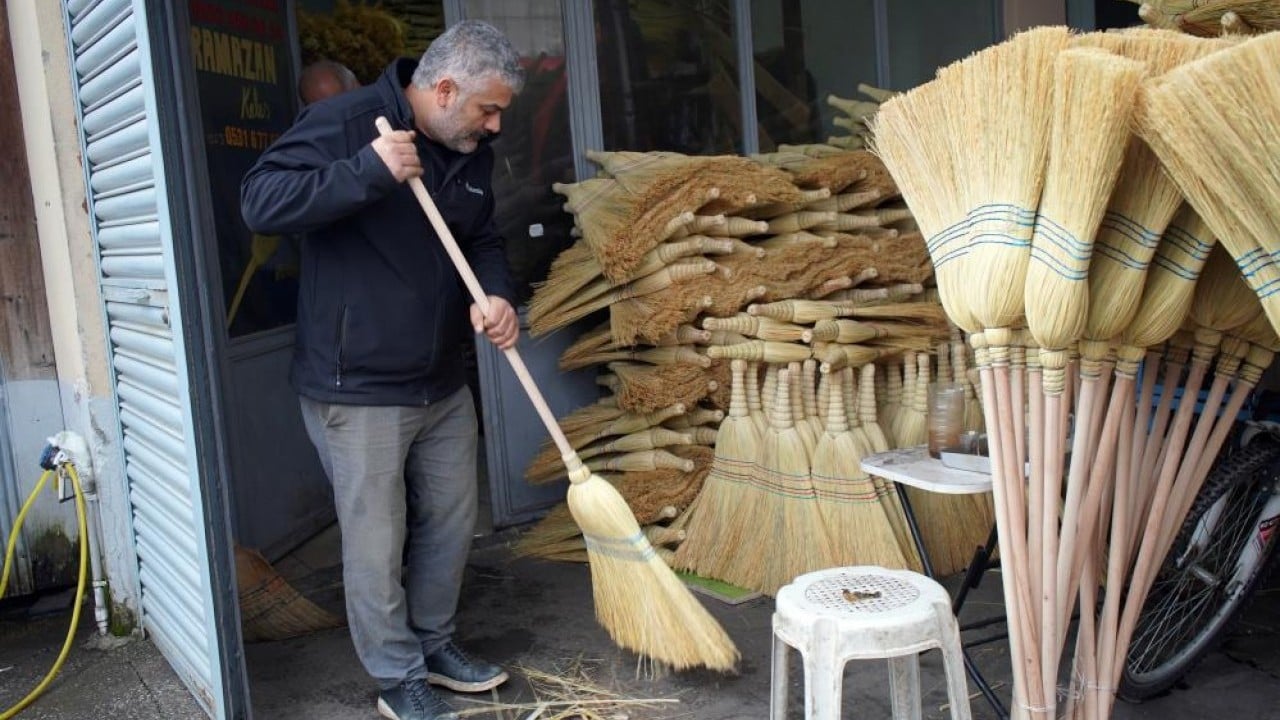 Foto - Bir dönemin gözdesi çalı süpürgesi yok olma yolunda