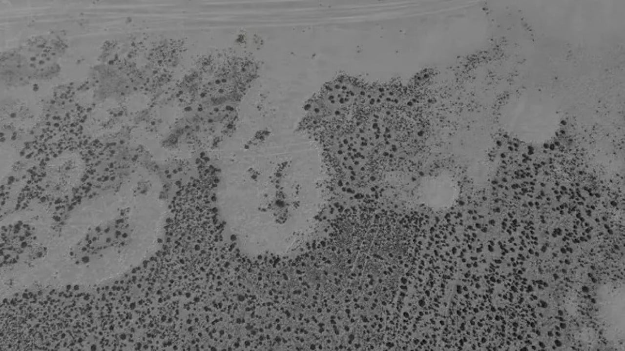 Foto - Bir göl daha kuruyarak yok oldu