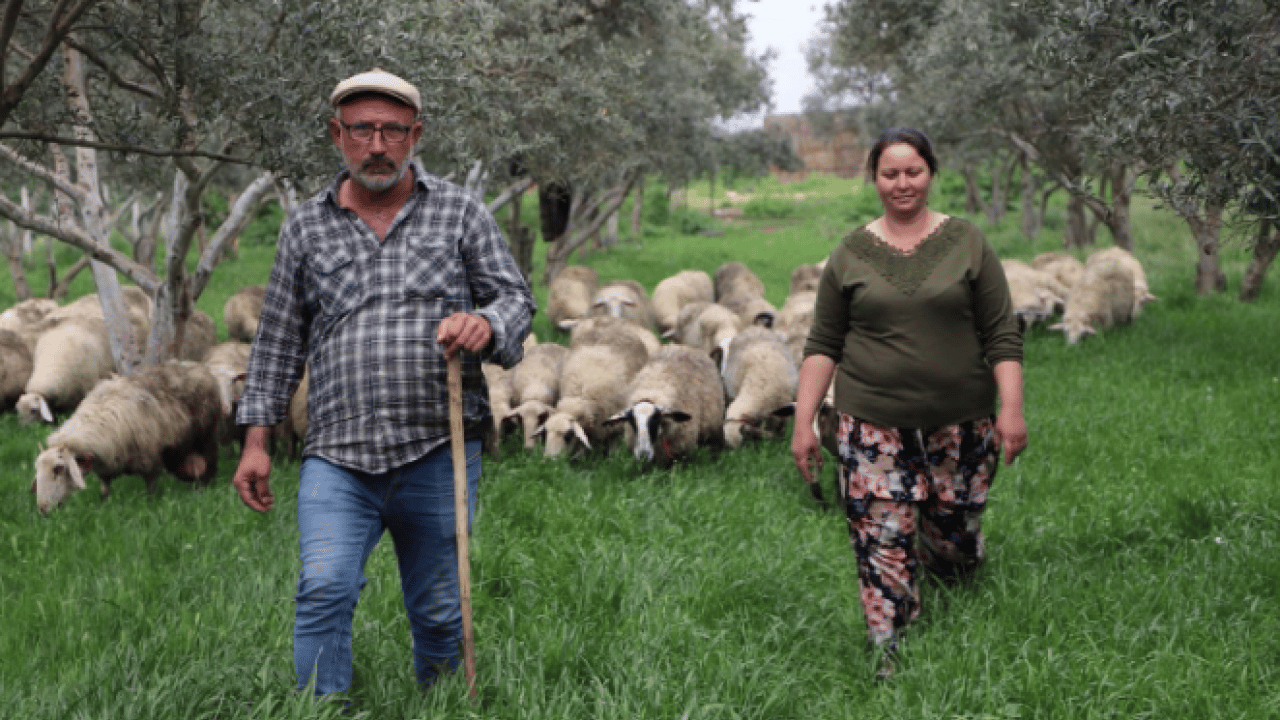 Foto - Bir hediye hayatını değiştirdi! 15 yılda 165 hayvanlık çiftlik kurdu