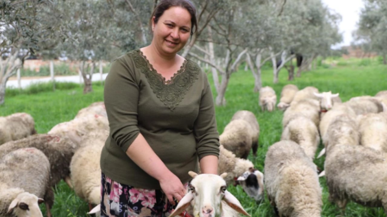 Foto - Bir hediye hayatını değiştirdi! 15 yılda 165 hayvanlık çiftlik kurdu