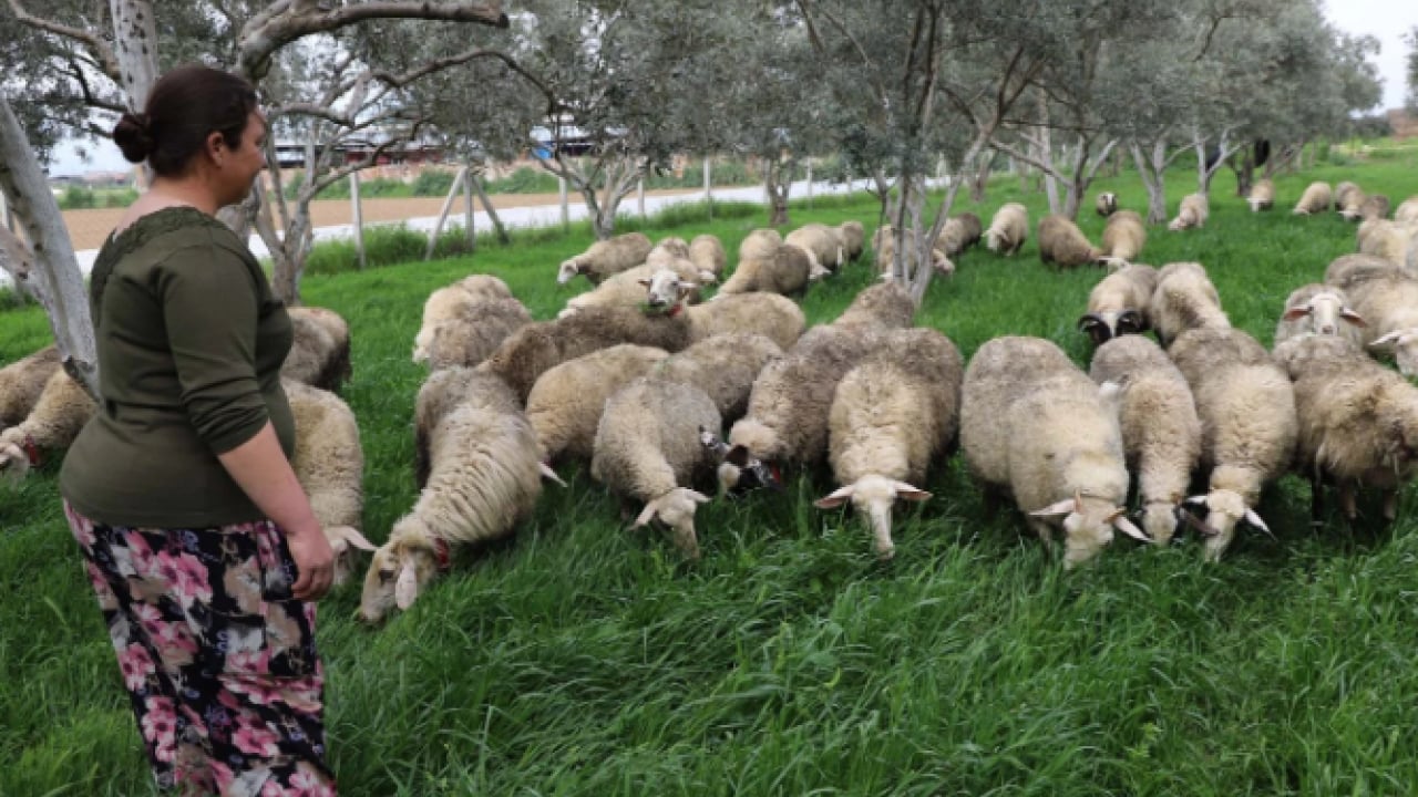 Foto - Bir hediye hayatını değiştirdi! 15 yılda 165 hayvanlık çiftlik kurdu