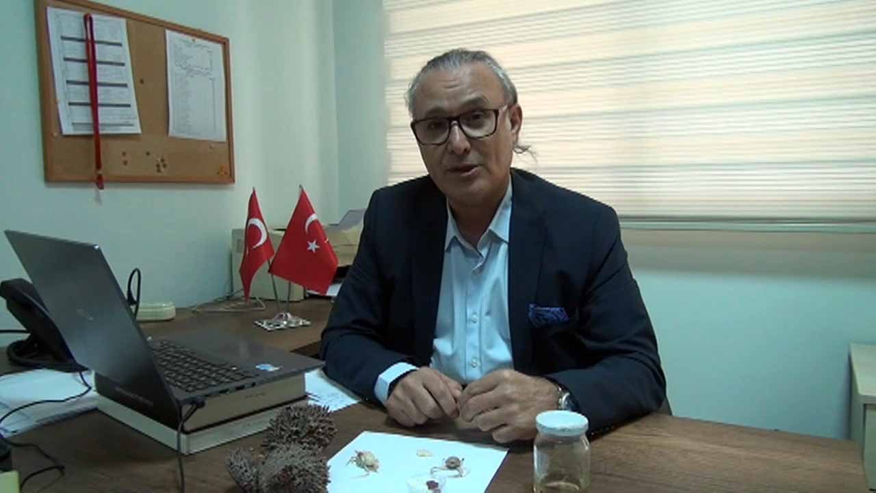 Foto - Bir Hint yengeci eksikti