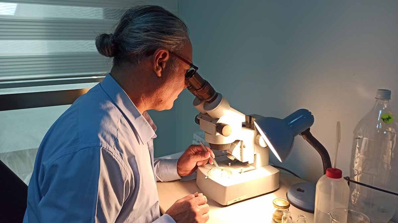 Foto - Bir Hint yengeci eksikti