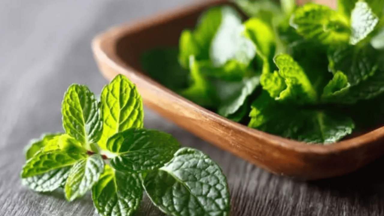 Foto - Bir kaşık ekleyip tüketin: Sindirim sistemini makine gibi çalıştırıyor!