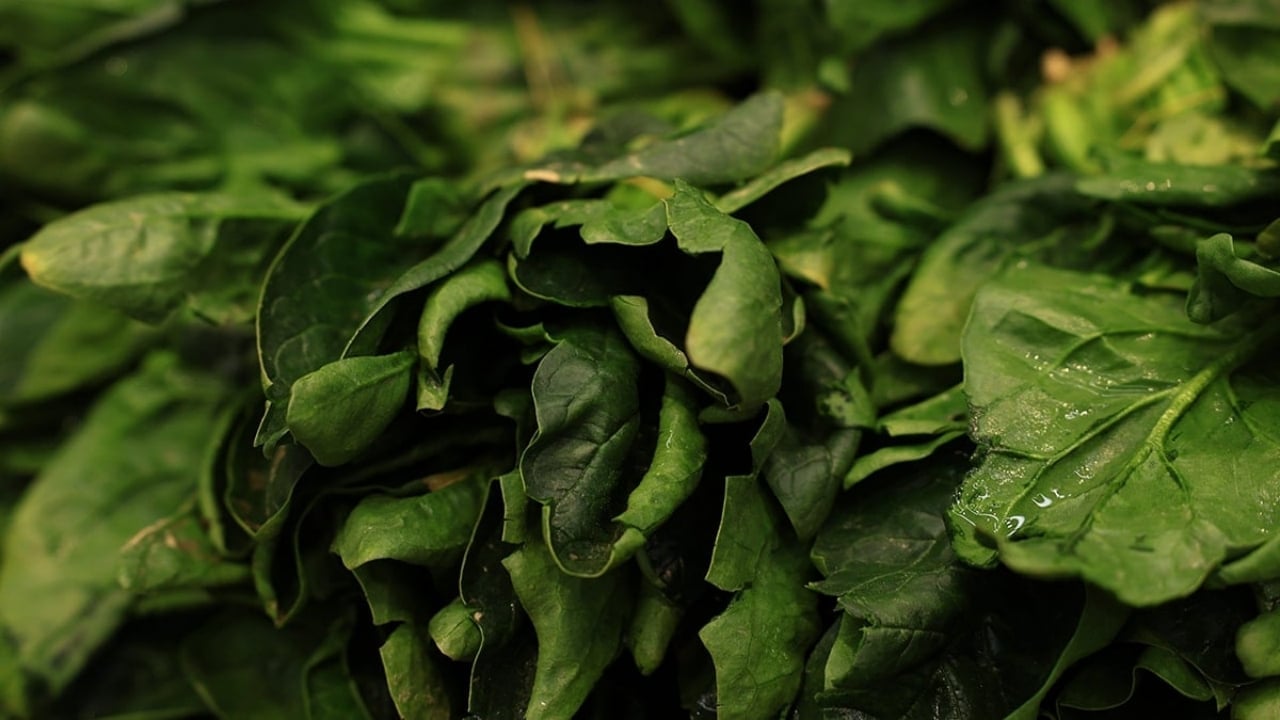 Foto - Bir kere dikince tam 20 defa hasat veriyor: Bahçesinde olan resmen para basıyor