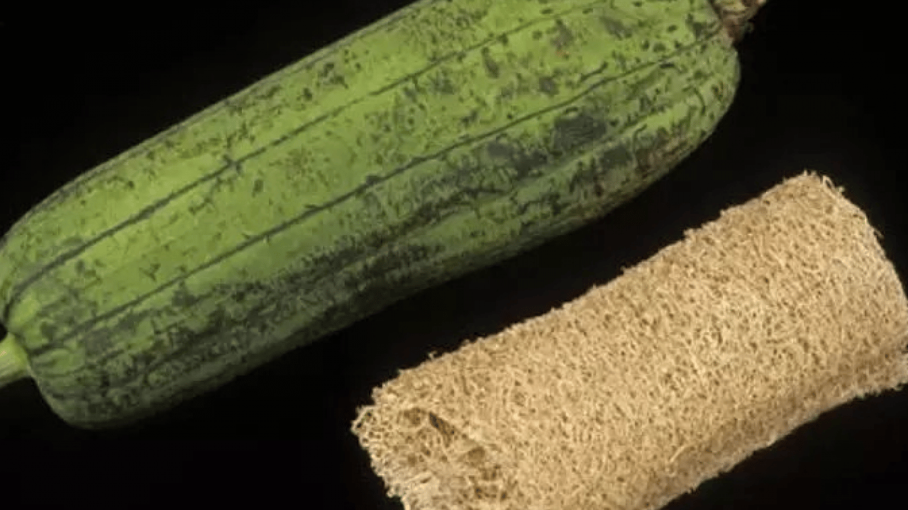 Foto - Bir kez deneyen vazgeçemiyor! Hem mutfakta hem banyoda kullanılıyor